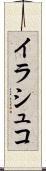イラシュコ Scroll