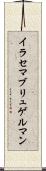 イラセマブリュゲルマン Scroll