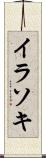 イラソキ Scroll
