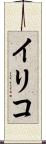 イリコ Scroll