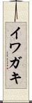 イワガキ Scroll