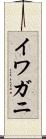 イワガニ Scroll
