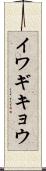 イワギキョウ Scroll