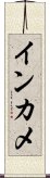 インカメ Scroll