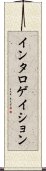 インタロゲイション Scroll