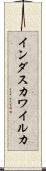 インダスカワイルカ Scroll
