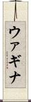 ウァギナ Scroll
