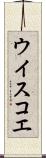 ウイスコエ Scroll