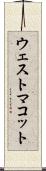 ウェストマコット Scroll