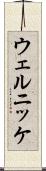 ウェルニッケ Scroll
