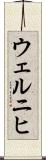 ウェルニヒ Scroll
