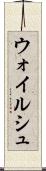 ウォイルシュ Scroll