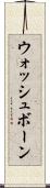 ウォッシュボーン Scroll