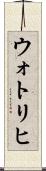 ウォトリヒ Scroll