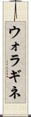 ウォラギネ Scroll