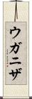 ウガニザ Scroll