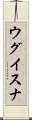 ウグイスナ Scroll