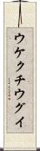 ウケクチウグイ Scroll