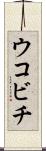 ウコビチ Scroll