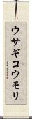 ウサギコウモリ Scroll