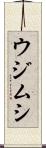 ウジムシ Scroll