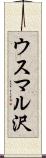 ウスマル沢 Scroll