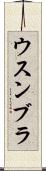 ウスンブラ Scroll