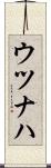 ウツナハ Scroll