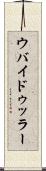 ウバイドゥッラー Scroll