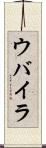 ウバイラ Scroll