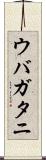 ウバガタニ Scroll