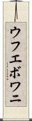 ウフエボワニ Scroll