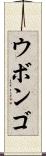 ウボンゴ Scroll