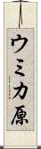 ウミカ原 Scroll