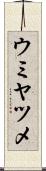 ウミヤツメ Scroll
