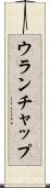 ウランチャップ Scroll