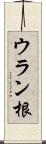 ウラン根 Scroll