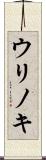ウリノキ Scroll