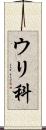 ウリ科 Scroll