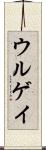 ウルゲイ Scroll