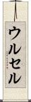 ウルセル Scroll