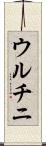 ウルチニ Scroll