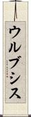 ウルブシス Scroll