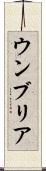ウンブリア Scroll