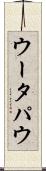 ウータパウ Scroll