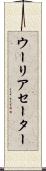 ウーリアセーター Scroll