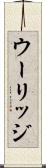 ウーリッジ Scroll