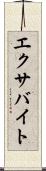 エクサバイト Scroll