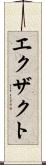 エクザクト Scroll