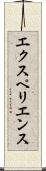 エクスペリエンス Scroll